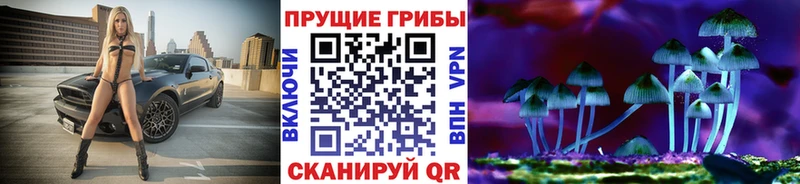 Галлюциногенные грибы ЛСД Кемь